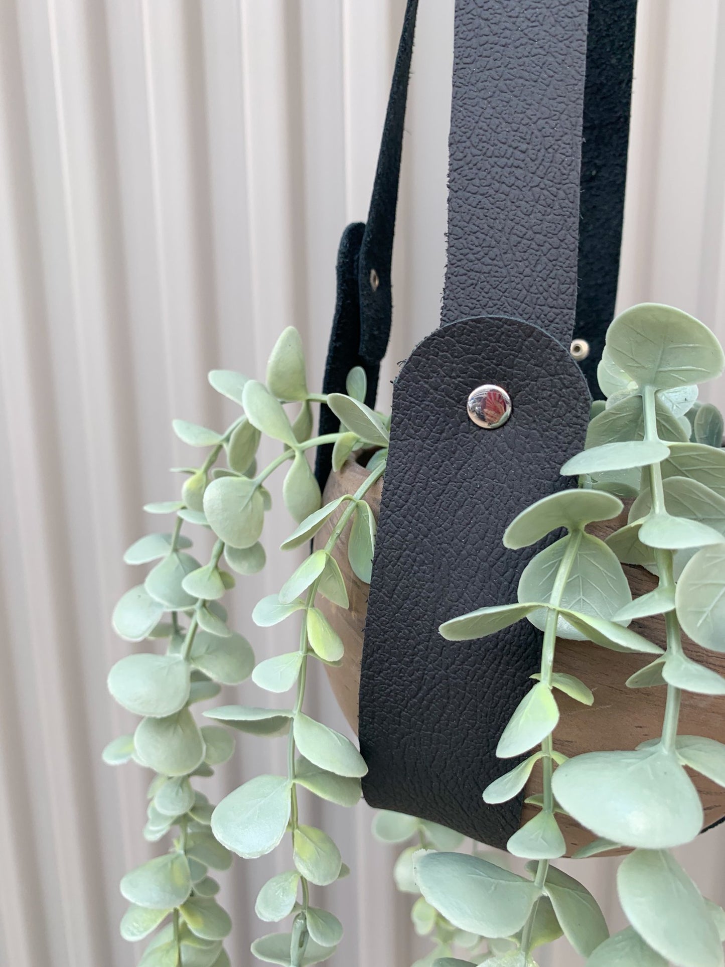 Cassis Plant Hanger
