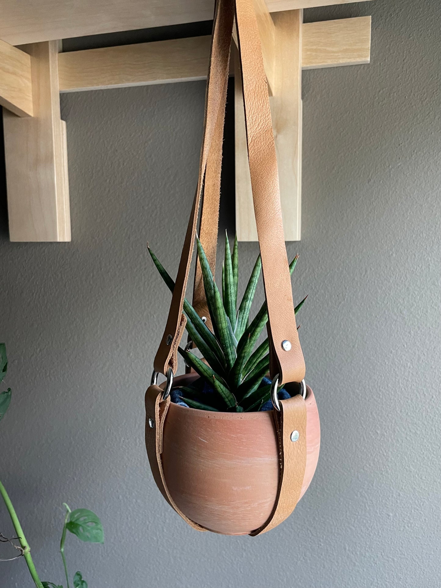Honey Plant Hanger