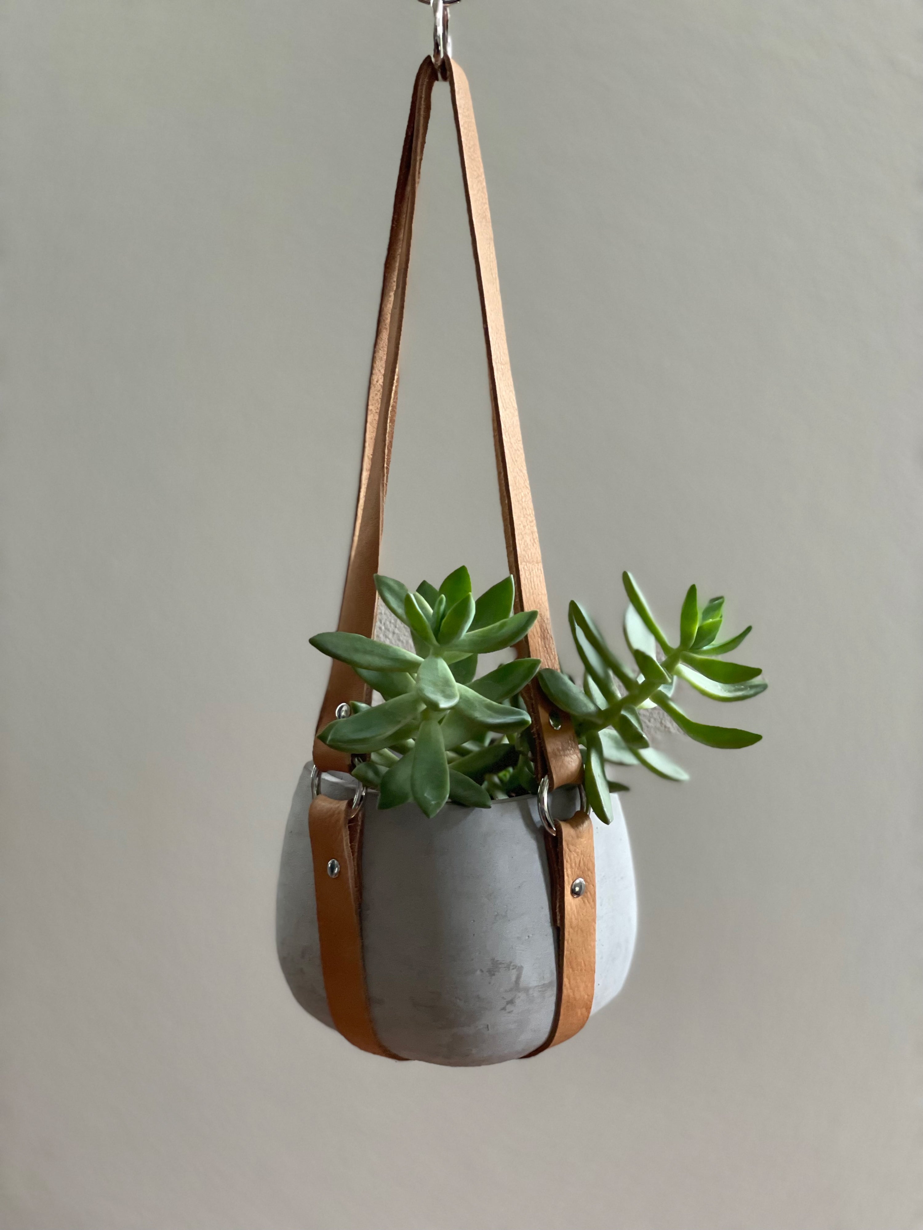 plant hanger leather Honey Plant Hanger – Lost Generation