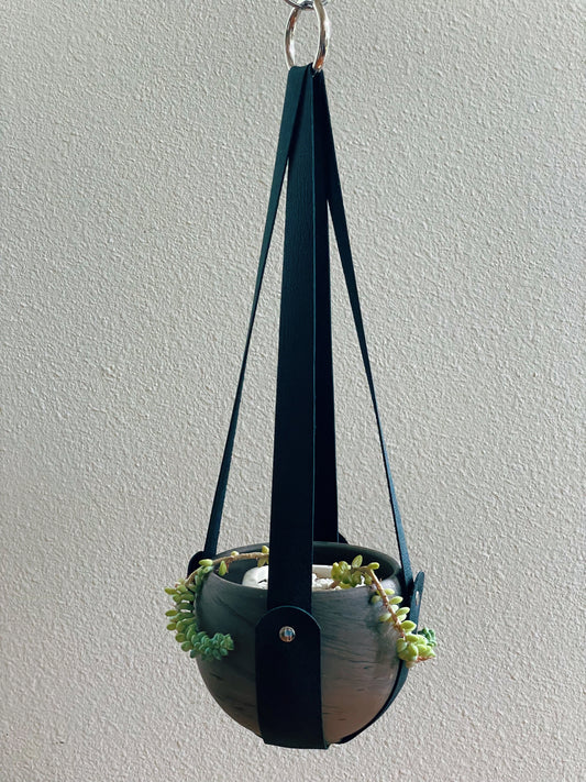 Cassis Plant Hanger