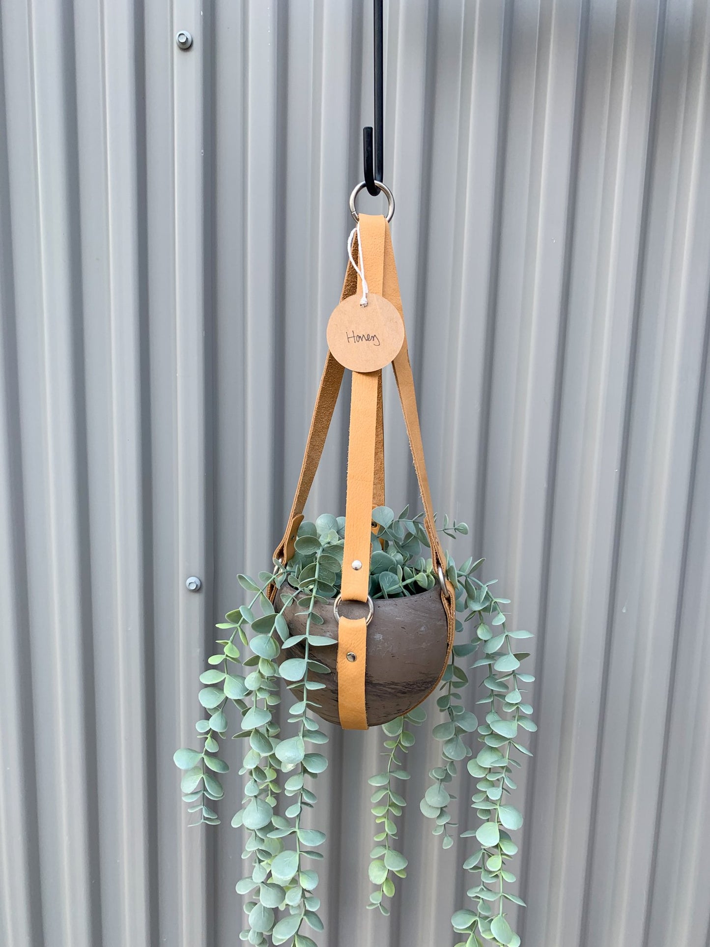 Honey Plant Hanger
